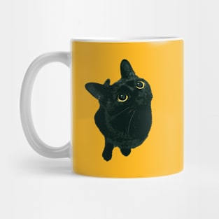 Shorthair Black Cat With Bright Yellow Eyes Looking Up Mug